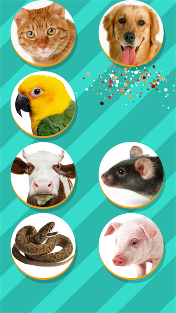 PetTranslator動物語言翻譯器下載